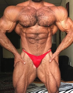 musclegodselfies:  IG: nassemqtr