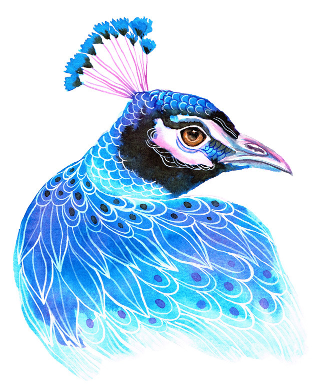 lohrien:  Illustrations by Ola Liola website l tumblr