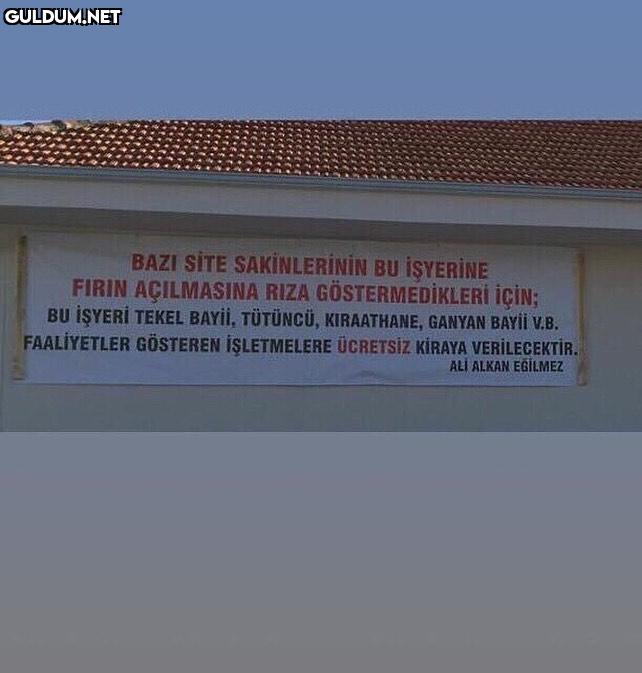 Ali, sen efsane birisin......