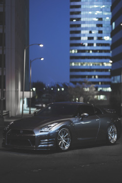 envyavenue:  Godzilla