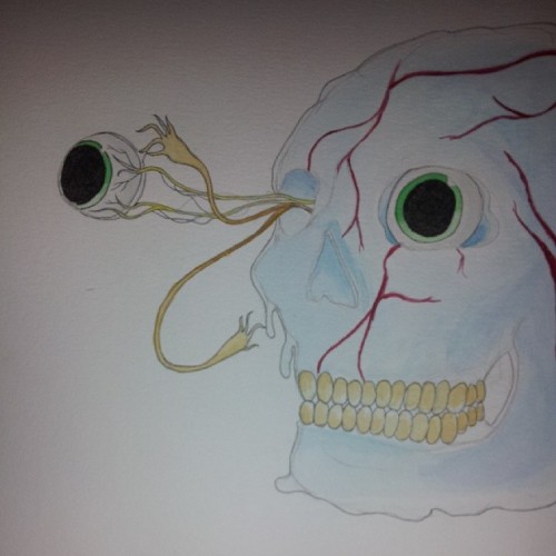 Membrane skull#gross #membrane #eyes #green #veins #teeth #small #thinfilm #art #charlieimmer #coll 