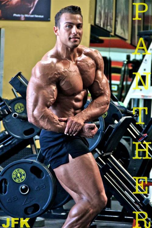 cdnlifter27:  Johan Fehd Karouani 