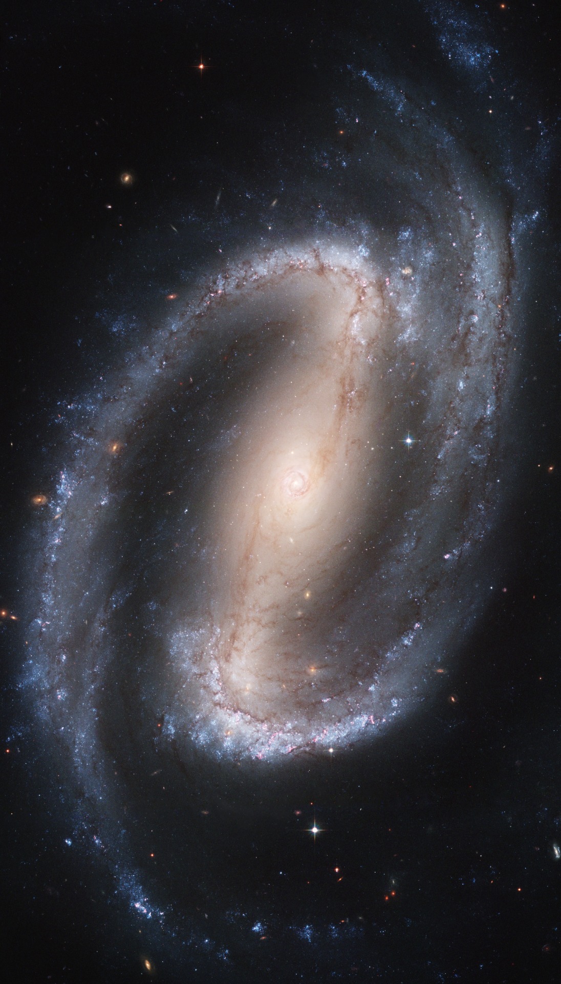 astronomicalwonders:  Barred Spiral Galaxy NGC 1300 NGC 1300 is 61 million light-years