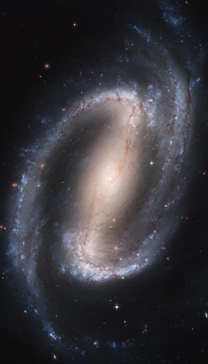astronomicalwonders:  Barred Spiral Galaxy NGC 1300 NGC 1300 is 61 million light-years away from earth in the constellation Eridanus. The galaxy is about 110,000 light-years across which makes it just slightly larger than the Milky Way. NGC 1300 is a