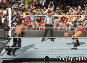 Porn thejiggyjifs:  Randy Orton vs Seth Rollins photos