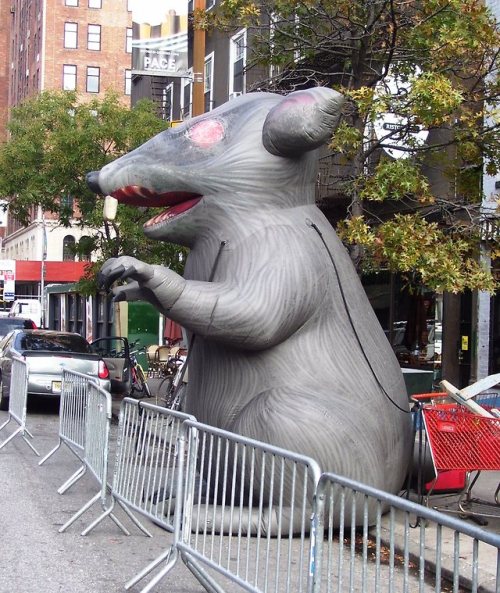 priorwaltering:u ever realize that most people don’t know about the giant inflatable union rat