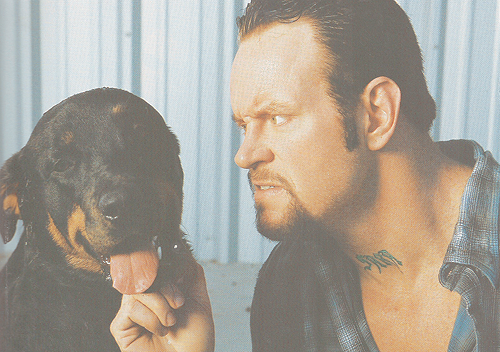 painsindicate:  The Undertaker with his dogs Thor, Zeus, and Tyson.