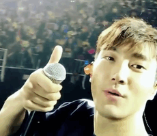 kyuxhae:  siwon1987 