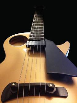 guitarbage:  Ribbecke 14” archtop