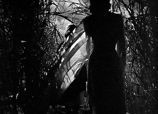 I Walked with a Zombie (Jacques Tourneur, 1943)
