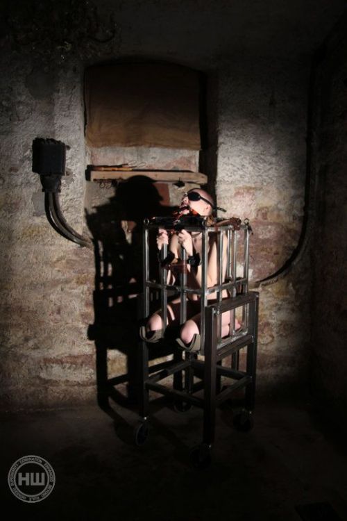 Porn photo artofbondage 147851013854