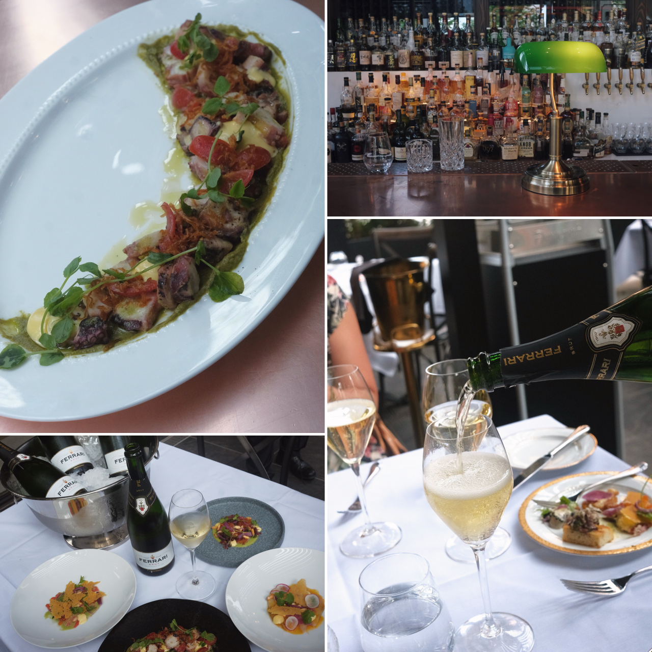 Acquafarina Restaurant x Downtown.
“We were invited to share the entirety of Acquafarina’s just launched Crudo (Italian for “raw”) & Ceviche Bar section of its rotating menu featuring a changing array of raw fish, shellfish, and beef dishes dressed...