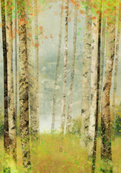 krokoart:  Ken RokoBirch Forest 02: Fine