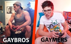 gaymerlag:  I still like both.