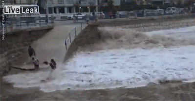 jcoleknowsbest:  onlylolgifs:  respect the ocean  now why would you be there?