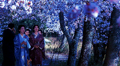 XXX jugeullae:THE MAKIOKA SISTERS 細雪1983, photo
