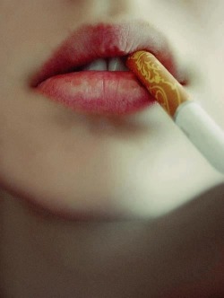 https://69.media.tumblr.com/11ebf8c7a61799ea42b4efb739a518f0/tumblr_msd06nje1J1rq60q4o1_500.jpg