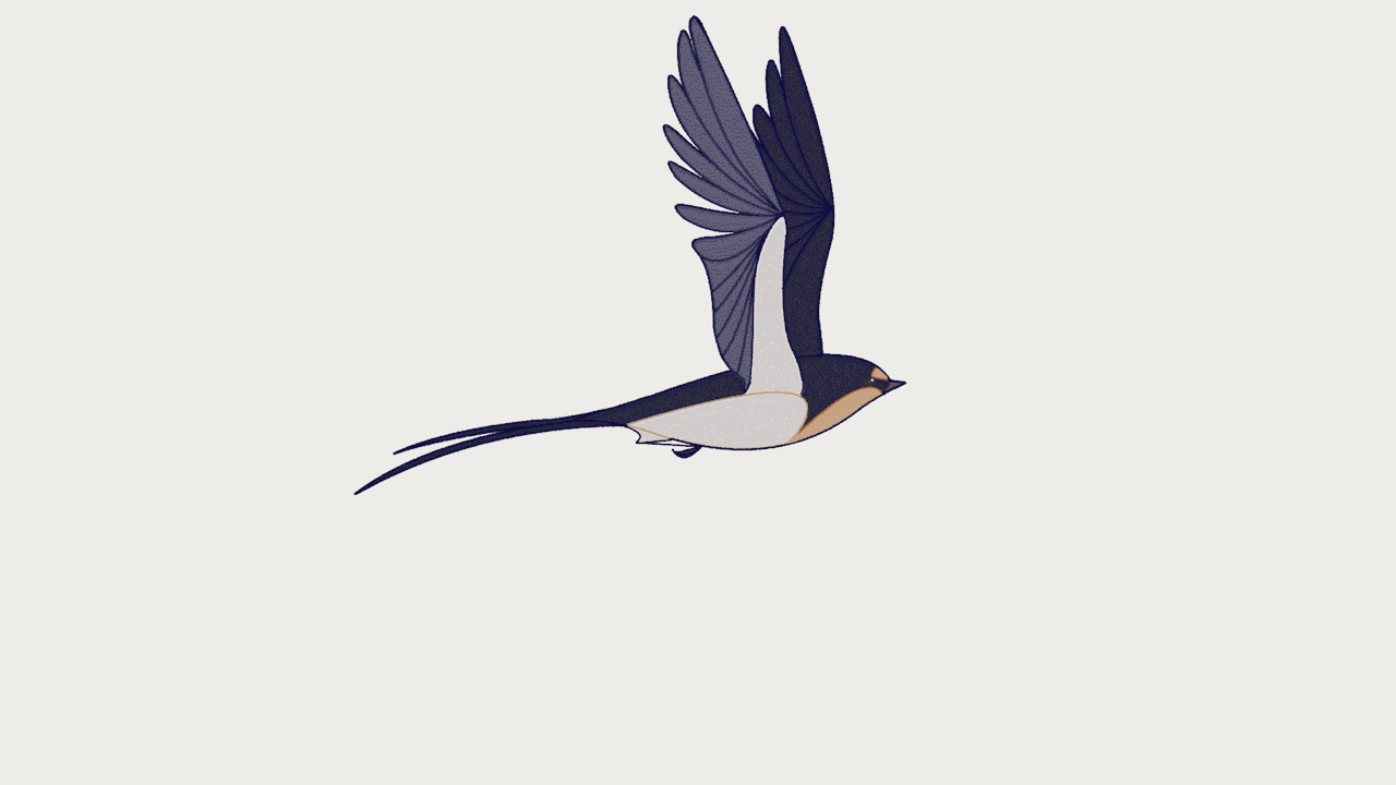 Just Marta — Finished version of my bird. There's a little...