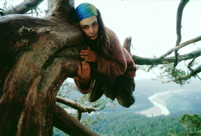 coltre:   Julia Butterfly Hill   I love her