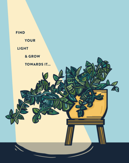 find your light &amp; grow towards it. #wiseplantsbit.ly/2YIw41Y