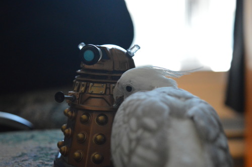 Snowy and The Attack Of The Dalek