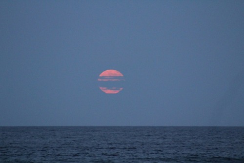 van-gothic:6/20/16I watched the strawberry moon rise over the ocean on the summer solstice. I was no