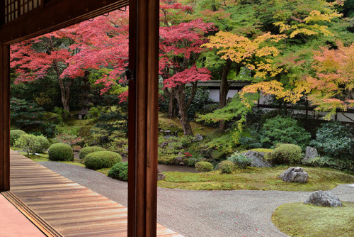 japonija:  sennyu-ji by yuta35 on Flickr.