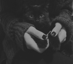 xxxtorixbabyxxx:  ♥Black Cats♥and♥Traditional