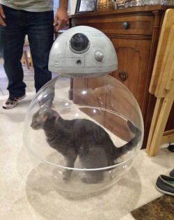 tastefullyoffensive:  How BB-8 works. (photo