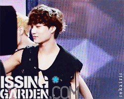 sekairis:  24/ ∞ EXO gifs | Kai (ft:lay's aniyo)   