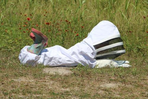 Scixerboa:hitmewithcute:four Year Old Beekeeper Distracted By A Roly-Poly.   Best