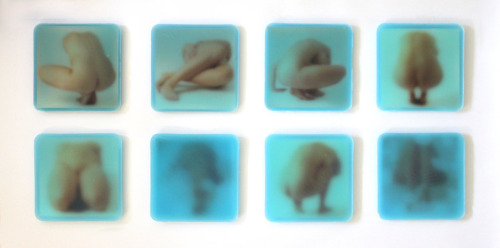 felibre:  Inlaid, 2012 Photographs in wax