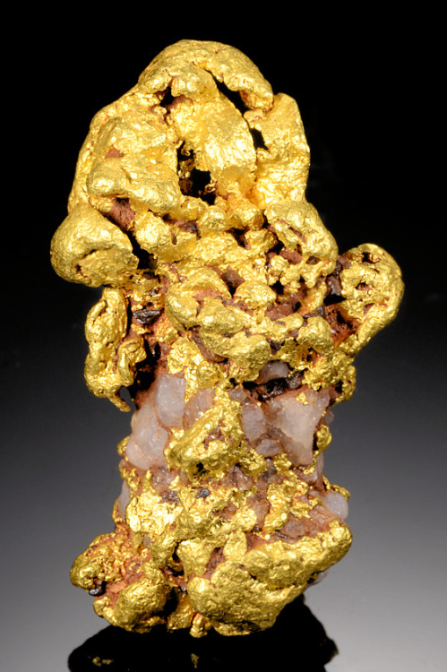 Native Gold with QuartzLocality: Tombstone District, Tombstone Hills, Cochise County, Arizona. Size: