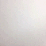 evanhilton:  Scaled- Animation made by Evan Hilton