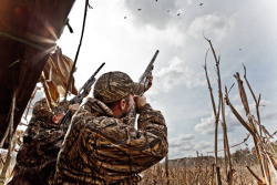 gentlemanbobwhite:  gentlemanbobwhite