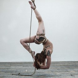 cubicletocollar:  The beautiful strong @gorgonekinbaku