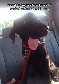 letsgoforahike:  Let’s Go For A Hike  Love.