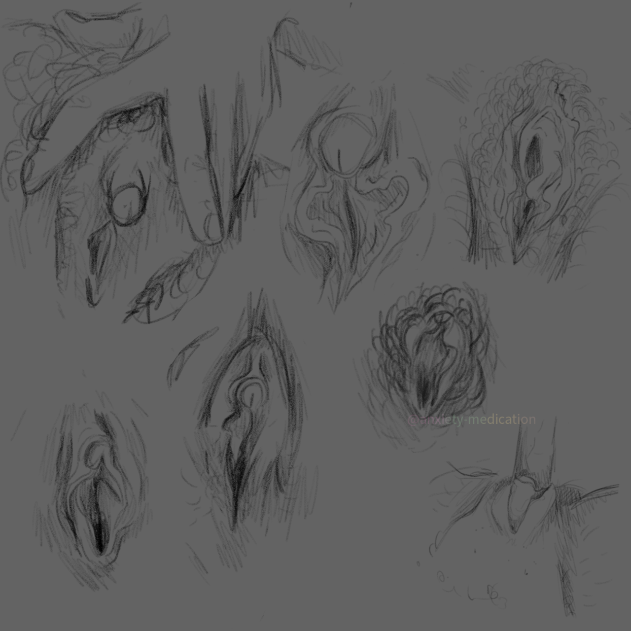 many sketches of trans vulvas on testosterone, some in different shapes and positions to show them off.