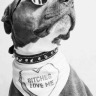 redroverbendover:just-for-the-fun-of-it-deactiva:Love the emotionGreat photo. Beautiful