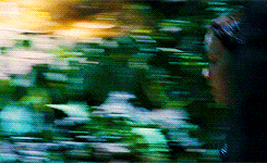 ivecomeforyourpickles:  7 Years of The Hunger Games (3/23/2012)directed by Gary Ross 