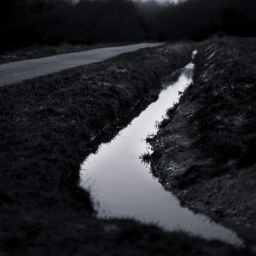 47/365 Ditch