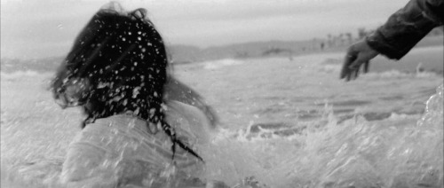 ultimatelana:  West Coast (2014) // Lana Del Rey
