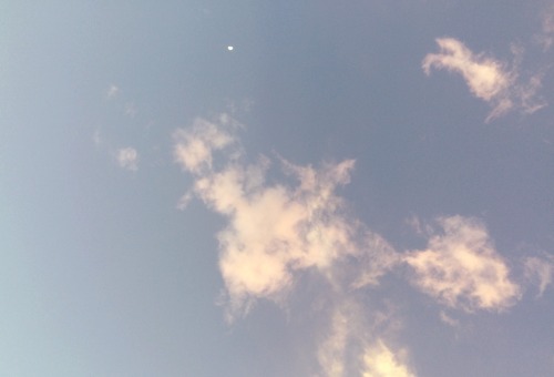 tinysugarpixie:the sky was really pretty today