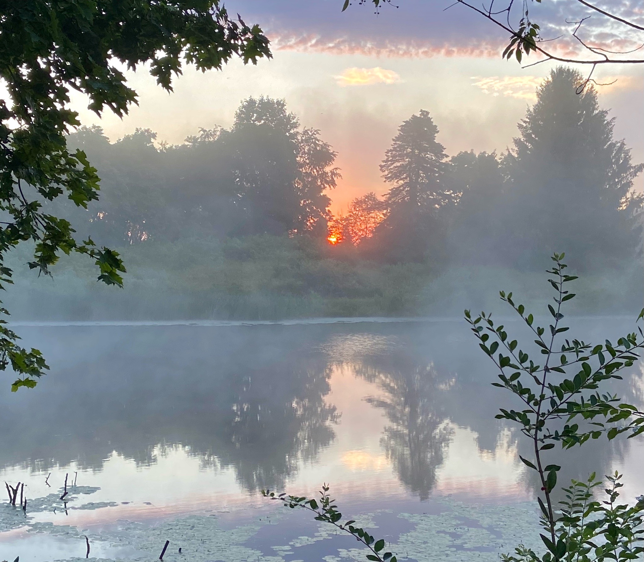 geopsych:I walked on the lake path again at sunrise.
