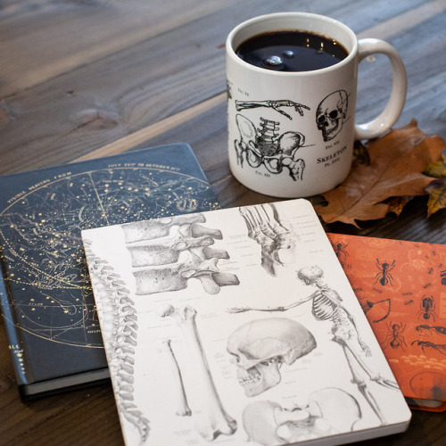 Halloween inspired gifts by Cognitive Surplushttps://cognitive-surplus.com/collections/halloween-gif