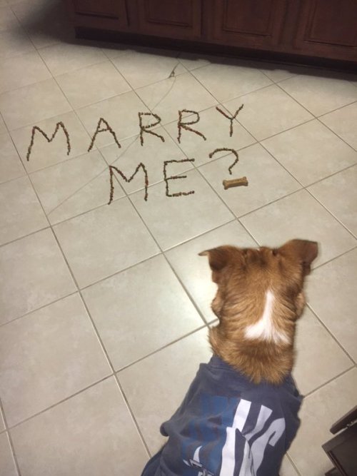 babyanimalgifs:  more baby animals here