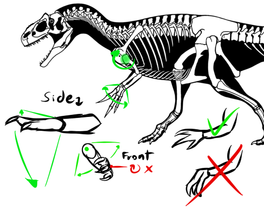 A Dinosaur A Day · How do theropod hands and shoulders work