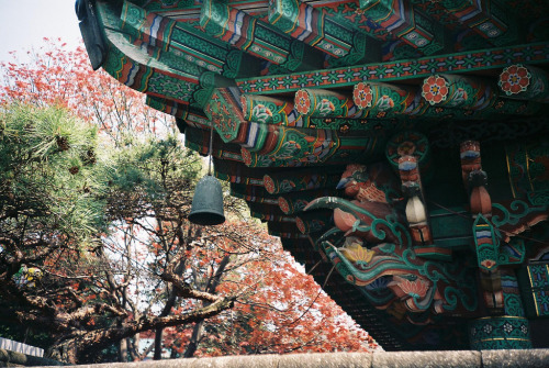 lovesouthkorea:autumn by fonzingaling