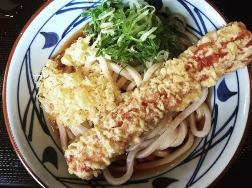 ちくわ天ぶっかけうどんσ(￣、￣=) 丸亀製麺（伊勢原） #noodles #udon #lunch #うどん