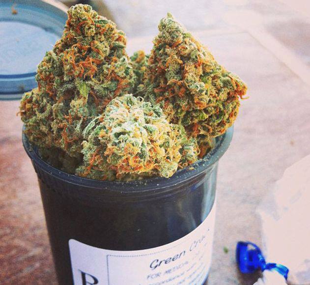 ॐ ALL WE REALLY NEED IS WEED ॐ 